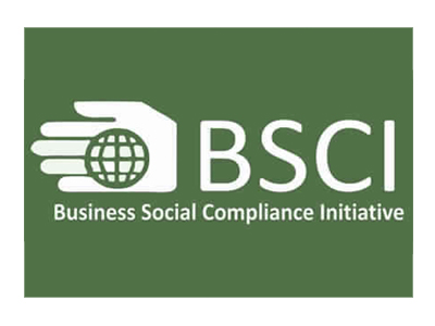 bsci-1-1.jpg